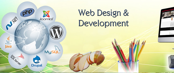 Web Designing and Development Company in India: Types and Features